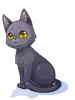 (C) Baby Black Cat (Lower)