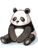 (C) Baby Panda (Lower)