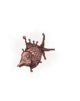 2182.gif
