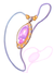 Neclace.png