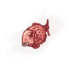 20646.gif