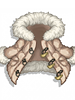 (C) Fancy Winter Jacket (Lower)