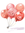 C Happy Balloon (RED).bmp